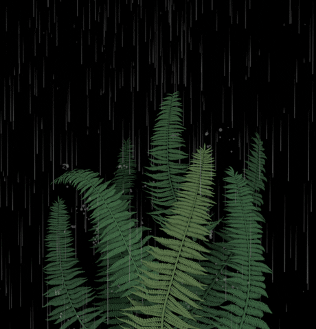 Animated Pouring Rain In Leaves GIF