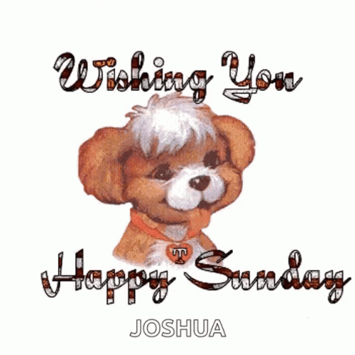 Animated Puppy Wishing You Happy Sunday GIF 