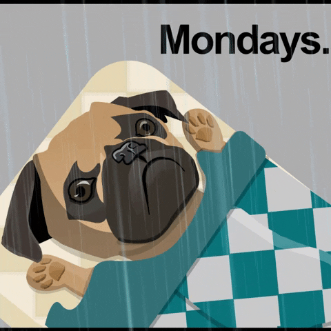 Animated Rainy Monday Sleepy Pug GIF