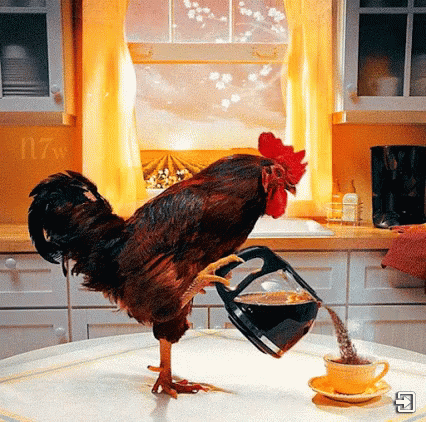 Animated Rooster Crowing Serving Coffee GIF