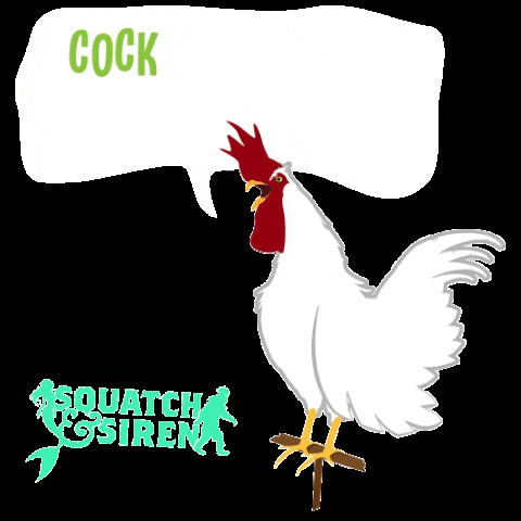 Animated Rooster Crowing Wake Up GIF