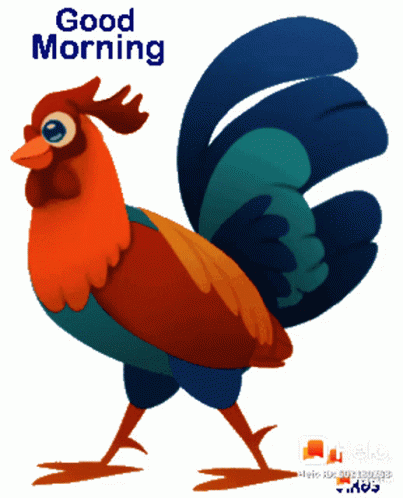 Animated Rooster Crowing While Walking GIF