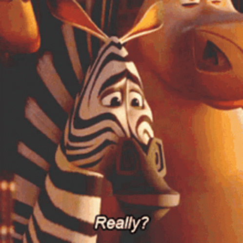 Animated Sad Zebra Really GIF