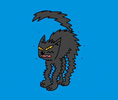 Animated Scared Black Screaming Cat Meme GIF