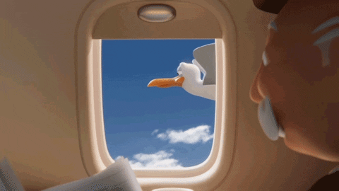 Animated Seagull Flying Salute GIF