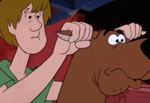 Animated Shaggy Adjusting Scooby Doo's Ear GIF