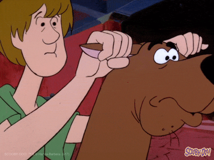 Animated Shaggy Riding Scooby Doo Adjusting Gears On Ears GIF