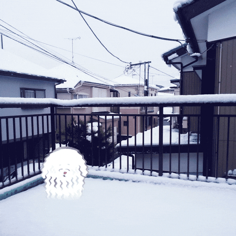 Animated Shivering Dog On The Balcony GIF