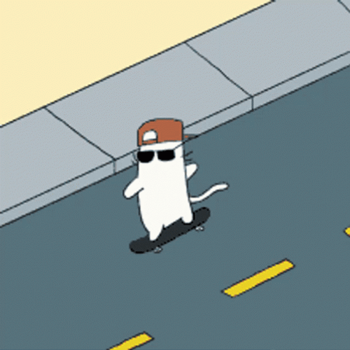 Animated Skater White Cat GIF