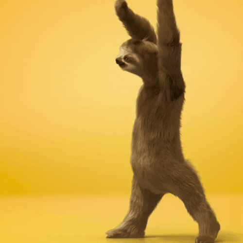 Animated Sloth Dancing GIF