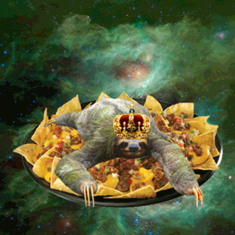 Animated Sloth Diving On The Nacho GIF