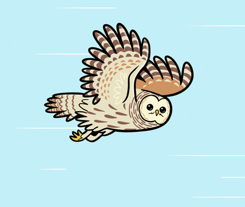 Animated Speeding Owl GIF