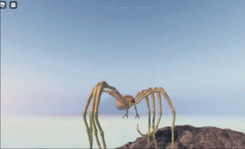Animated Spider With Long Legs GIF