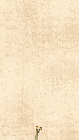 Animated Tomato Plant Growing GIF