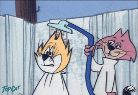 Animated Top Cat Bad Hair Day GIF