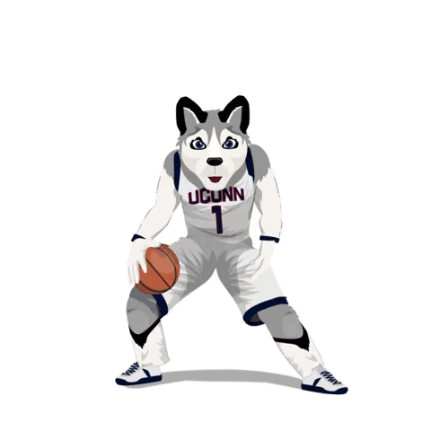 Animated Uconn Husky Mascot Dribbling Ball GIF
