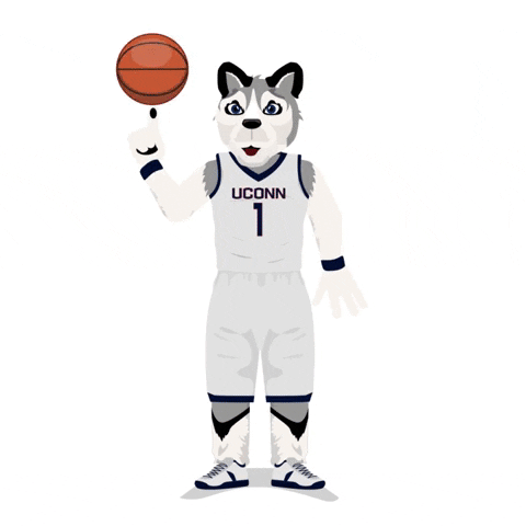 Animated Uconn Husky Mascot Spinning Ball GIF