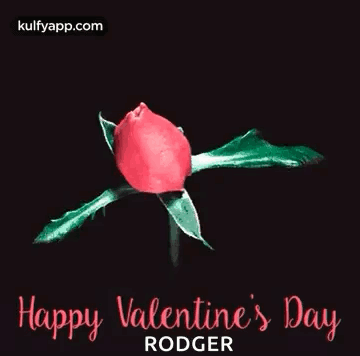 Animated Valentines Day Pink Rose GIF