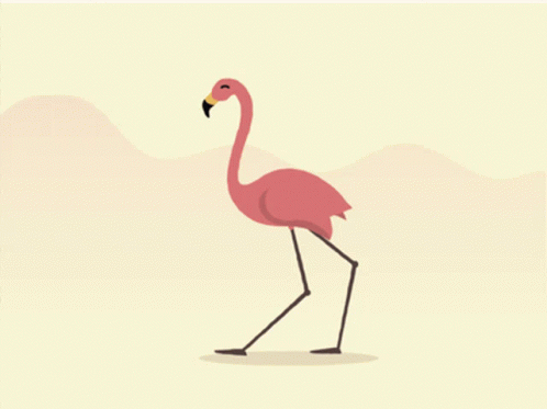 Animated Walking Flamingo GIF