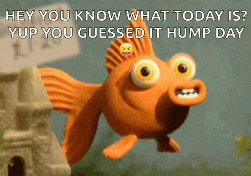 Animated Wednesday Goldfish Wink GIF