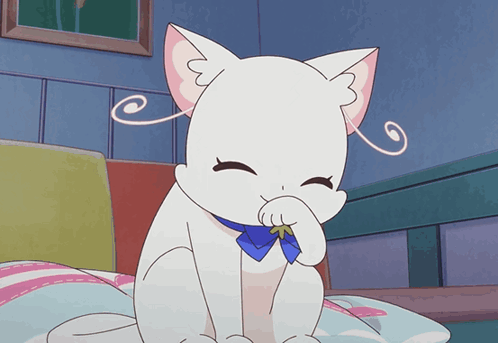 Animated White Cat Licking Her Hands GIF