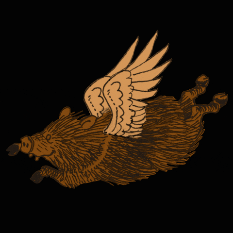 Animated Wild Pig Flies Fluttering Wings GIF