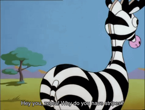 Animated Zebra Slapping A Bird GIF