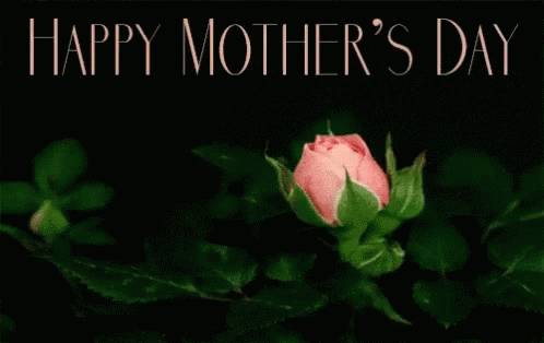 Animation Happy Mother Day Growing Flower GIF