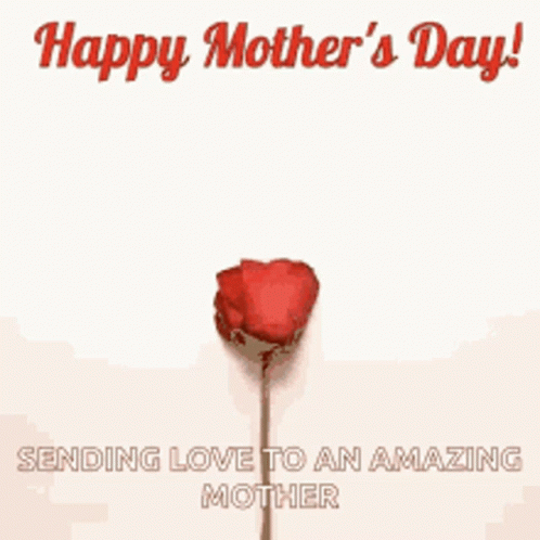 Animation Happy Mother Day Petals Forming Heart GIF