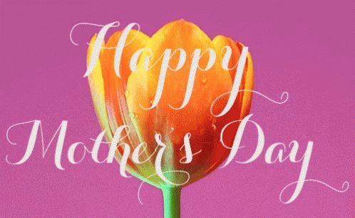 Animation Happy Mother Day With Orange Tulip GIF