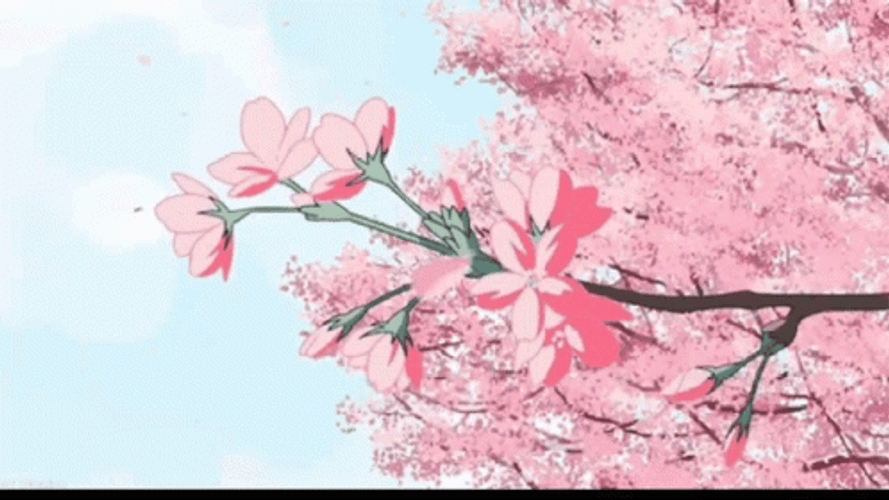 Gif animation cherry blossom scenery  Anime scenery Anime scenery  wallpaper Anime cherry blossom