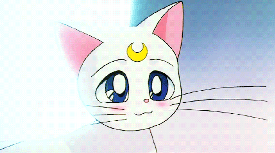 Anime Artemis Cat GIF