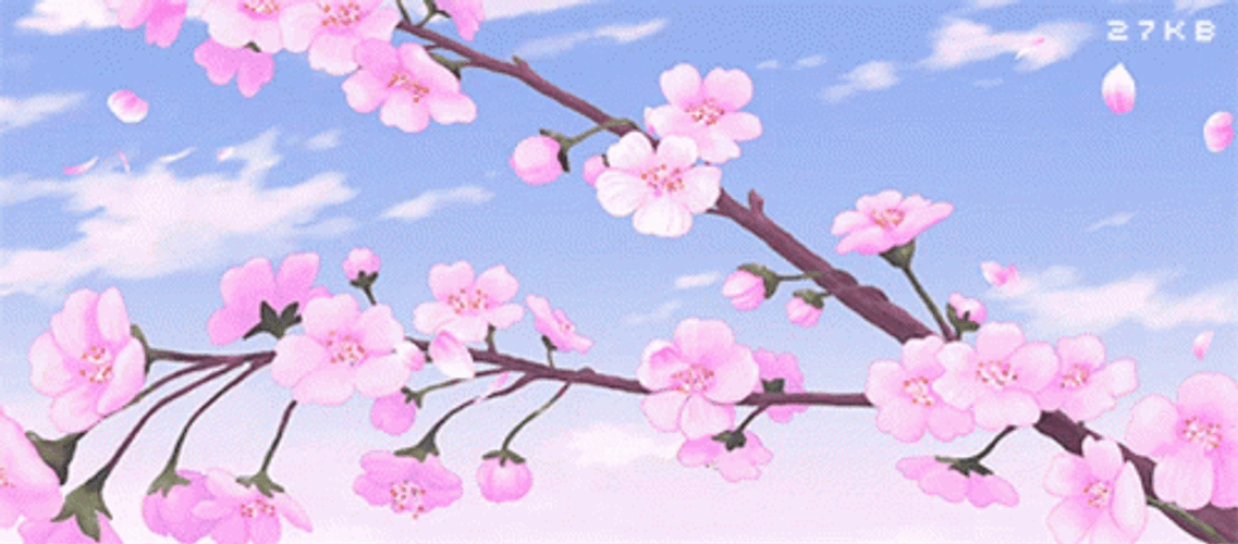 Anime Banner Cherry Blossom
