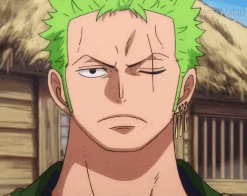 Anime Birthday Zoro Smile One Piece GIF