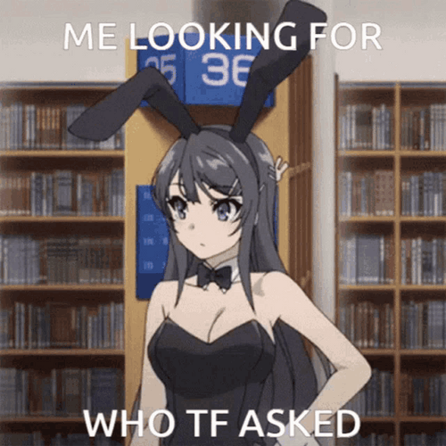 Anime Bunny Girl Mai Sakurajima Who Tf Asked GIF