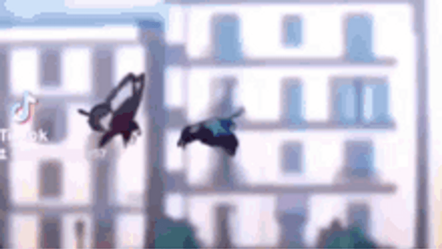 Anime Butterflies Turned Into Reverse Card GIF