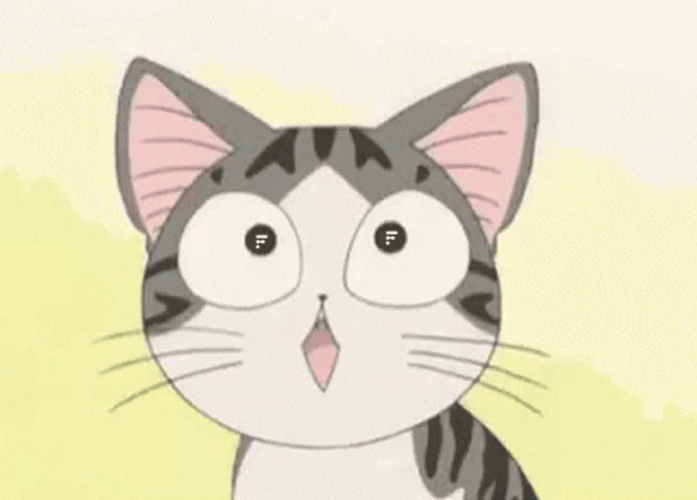 Funny Anime GIF, cat, Cartoon GIF - GIFPoster