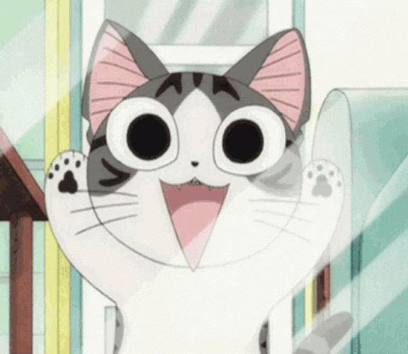 Descobrir 82+ imagem anime happy cat - br.thptnganamst.edu.vn