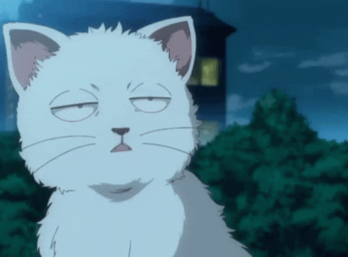 Anime Cat Gintoki Gintama Dead-fish Eye GIF