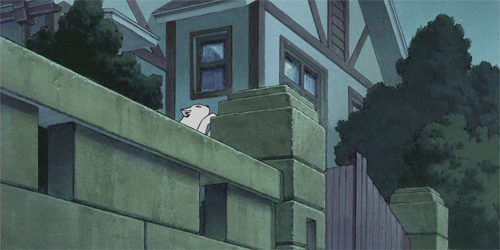 Anime Cat Returns Cat Jumping Wall GIF