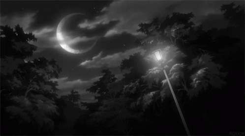 Anime Characters with Sailor Moon
