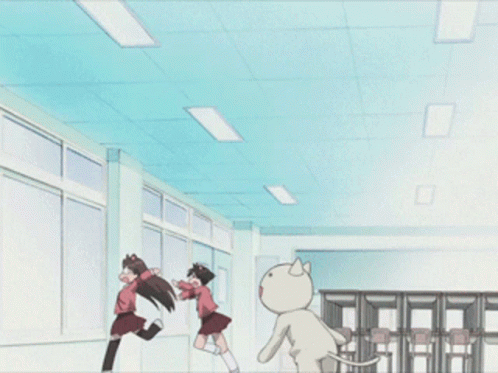Anime Chase Azumanga Daioh GIF
