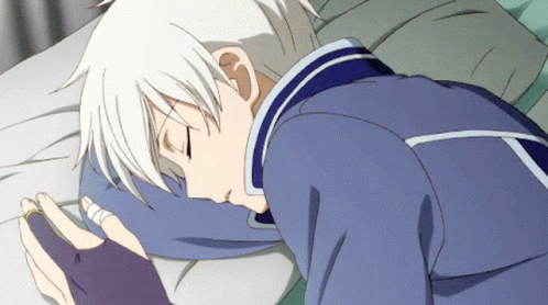 Anime Couple Shirayuki Zen GIF