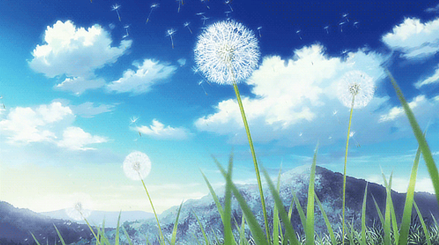 Anime Dandelion Flowers GIF