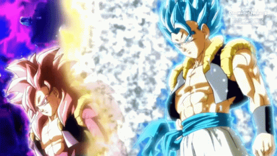 Anime Dragon Ball Ssb Gogeta GIF