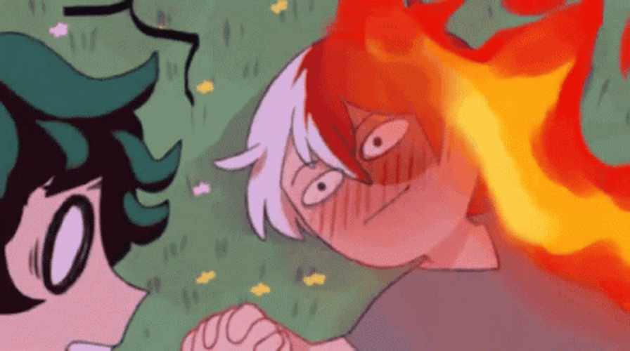 Anime Edit Deku And Shouto GIF