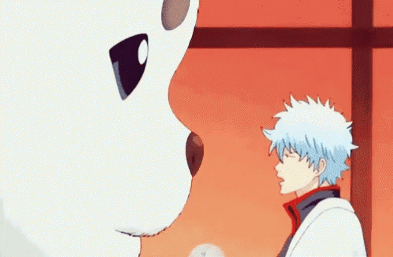 Anime Fight Funny Slap Gintama GIF 