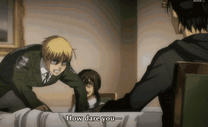 Anime Fight Mikasa Stops Armin GIF