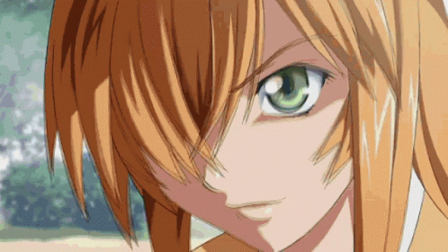 Anime Fighting Hakufu Sonsaku Versus Ikki Tousen GIF