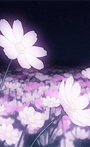 Purple Garden Cosmos Anime Flower GIF